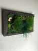 Framed Moss Wall Art Set Botanical Living Walls Sculpture | Plants & Landscape by Sarah Montgomery