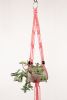 Mini Plant Hangers | Plants & Landscape by Modern Macramé by Emily Katz. Item composed of cotton