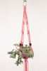 Mini Plant Hangers | Plants & Landscape by Modern Macramé by Emily Katz. Item composed of cotton