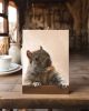 Brigette With A Walnut | Prints by The Ugly Cat Studio