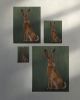 Woodland Hare Art Print, Light Green Spring Rabbit Wall Art | Prints in Paintings by The Ugly Cat Studio