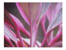 When the colors become sounds | Photography by She Hit Pause. Item composed of paper