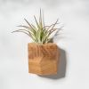 GEORGIA White Oak Air Plant Holder | Planter in Vases & Vessels by Untitled_Co