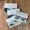 Grant | Prints in Paintings by Mande Calhoun Art