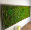 Moss Wall Art Large Green Living Plant wall Decor No Care | Living Wall in Plants & Landscape by Sarah Montgomery