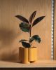 Pillar Planter | Vases & Vessels by Misewell