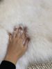 Small White Nursery Pelt | Small Rug in Rugs by East Perry. Item made of fabric