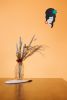 Amy Wall Mask | Wall Sculpture in Wall Hangings by Umasqu
