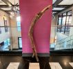 Large Driftwood Art Sculpture "Confident Strut" | Sculptures by Sculptured By Nature  By John Walker. Item made of wood compatible with minimalism style