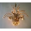 Alan Mizrahi WM2153 Andy Flower | Chandeliers by Alan Mizrahi Lighting Design