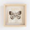 Mini Moth - Ceranchia apollina | Mixed Media by Tanana Madagascar. Item made of cotton