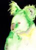 Green Koala | Prints by Brazen Edwards Artist. Item made of canvas with paper