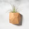 GEORGIA Red Oak Air Plant Holder | Planter in Vases & Vessels by Untitled_Co