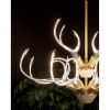 Alan Mizrahi IQ8137 Antler's Horn | Chandeliers by Alan Mizrahi Lighting Design