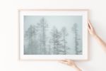Winter trees misty landscape photograph "Exposed Trees" | Photography by PappasBland. Item composed of paper in minimalism or contemporary style