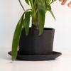 Native Oval Planter - Handmade Porcelain Planter | Vases & Vessels by The Bright Angle. Item made of ceramic