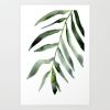 Palm Frond | Prints by Brazen Edwards Artist. Item made of canvas with paper