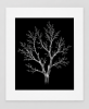 EXPOSED AUTUMN — BARE BRANCH | Decorative Objects by Exposedart
