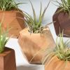 GEORGIA Bundle Set of Five Geometric Wood Air Plant Holder | Living Wall in Plants & Landscape by Untitled_Co