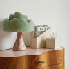 Ivory Essence with Wood Accents | Decorative Objects by Rikan