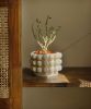 Mono | Plant Pot 02 | Planter in Vases & Vessels by Amanita Labs