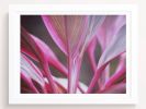 When the colors become sounds | Photography by She Hit Pause. Item composed of paper