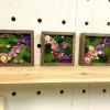 Moss Wall Art, Pressed Flower Art, Preserved Moss Decor | Living Wall in Plants & Landscape by Sarah Montgomery
