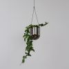 Portico Planter - Chrome | Vases & Vessels by Misewell