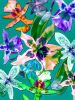 Orchid You Not - 6 Versions | Photography by Joanie Landau