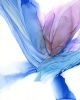 flourish | abstract art original | Watercolor Painting in Paintings by Megan Spindler