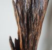 Driftwood Sculpture "Acclivity" | Sculptures by Sculptured By Nature  By John Walker. Item composed of wood in minimalism style