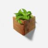 Triangle Self-Watering, Wall-Mounted Planter | Vases & Vessels by Formr. Item made of wood