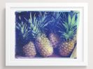 Pineapples | Photography by She Hit Pause. Item made of paper