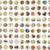 Two Hundred and Fifty Six Butterfly Dots Collage | Paintings by Amelia Coward