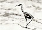 Graceful | Prints by Brazen Edwards Artist. Item composed of canvas and paper