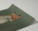 The Woodland Fox - Green Edition | Prints by The Ugly Cat Studio