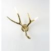 JT215 Antler Wall Sconces | Sconces by Alan M
