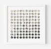Monochrome Garden | Collage in Paintings by Amelia Coward
