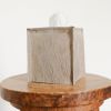 Warm Caramelized Taupe Hair-On-Hide Tissue Box Cover | Toiletry in Storage by Vantage Design