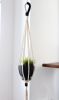 Modern Contrast Color-Block Plant Hanger — Hand-Knotted Fiber Art | Plants & Landscape by Freefille