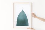 Set of two minimalist succulent prints, "Agave Study Pair I" | Photography by PappasBland. Item composed of paper in minimalism or contemporary style