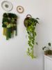 Moss woven wall tapestry | Wall Hangings by Awesome Knots. Item composed of cotton and fiber in boho or mediterranean style