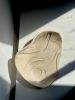 The Terra plate 6 | Ceramic Plates by Laura Dujoncquoy