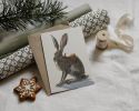 Gallop of the Hare | Prints by The Ugly Cat Studio