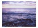 The lavender I tried to tell you about | Photography by She Hit Pause. Item composed of paper