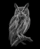 EXPOSED AUTUMN — OWL | Decorative Objects by Exposedart
