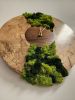 Wood Moss Art Clock | Decorative Objects by Carlberg Design