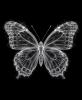 EXPOSED 002 — BUTTERFLY | Decorative Objects by Exposedart