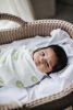 Baby Moses Basket with Straight Hood | Bassinette in Beds & Accessories by Anzy Home. Item made of fiber