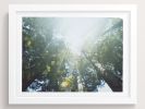 Tilting Our Heads Upwards, We Found Another World | Photography by She Hit Pause. Item composed of paper
